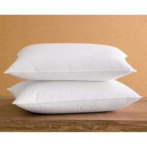 2 Ultra-Fresh Jumbo Bed Pillow Set -JUMBO