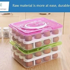 Double Layer All in One Egg Storage Box