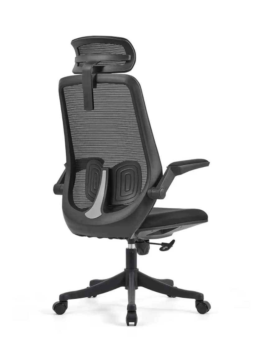 High-Back Ergonomic Mesh Office Chair