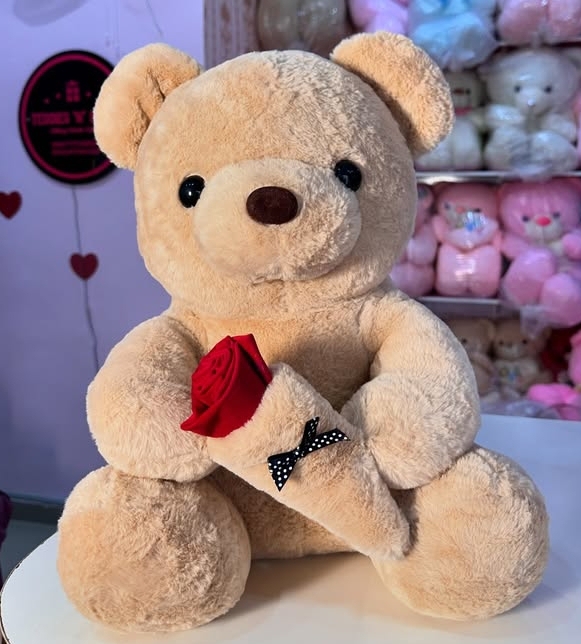 50cm Quality Teddy Bear - Image 3