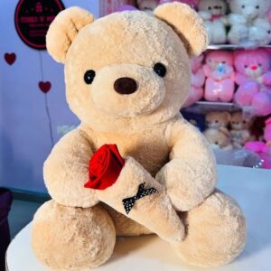 50cm Quality Teddy Bear
